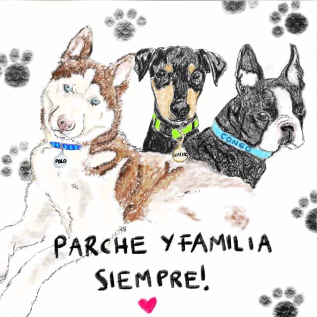 Parche Perruno Power