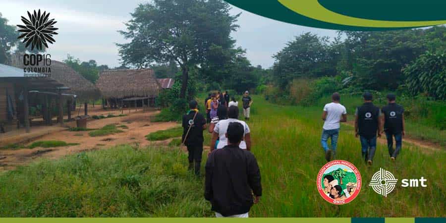 Reforestación de Árboles Nativos - ASO SALIBA