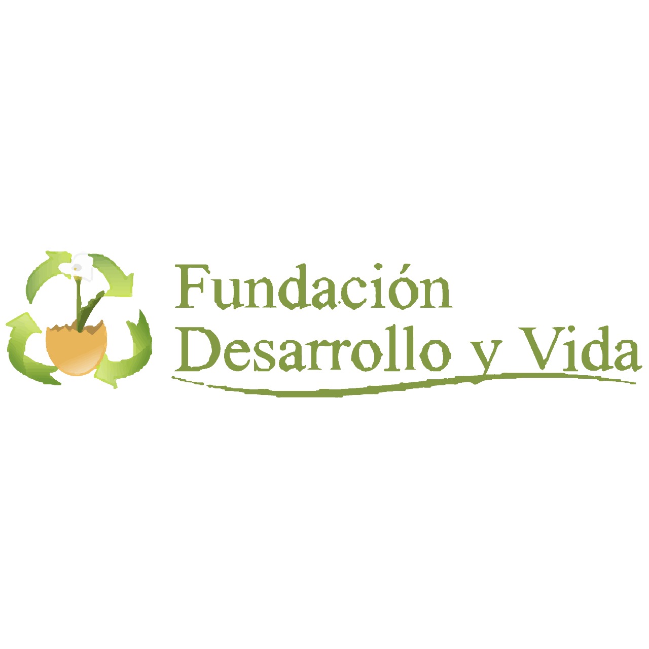 Fundación Desarrollo y Vida