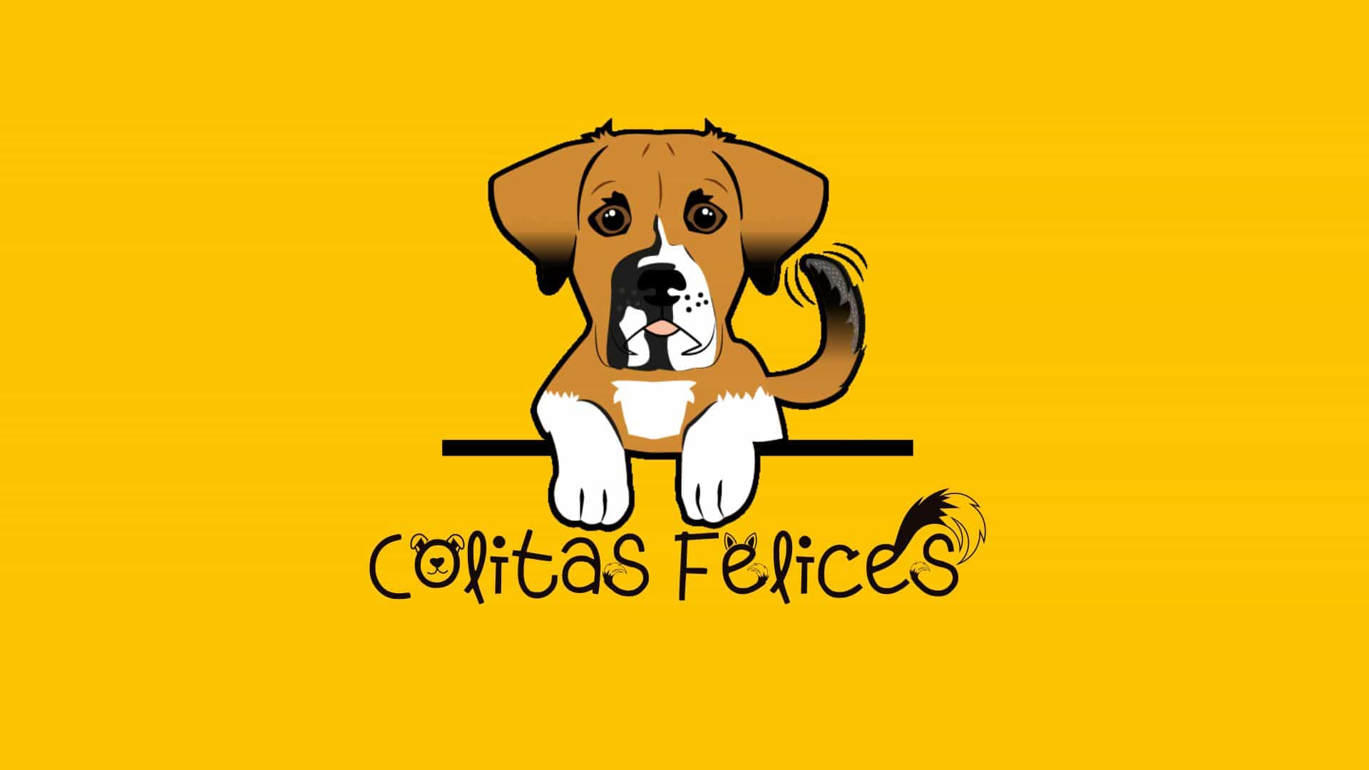 Fundacion Colitas Felices