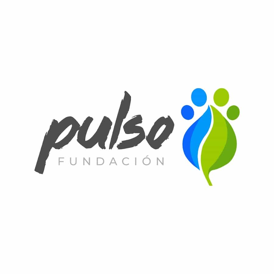 Fundación Pulso