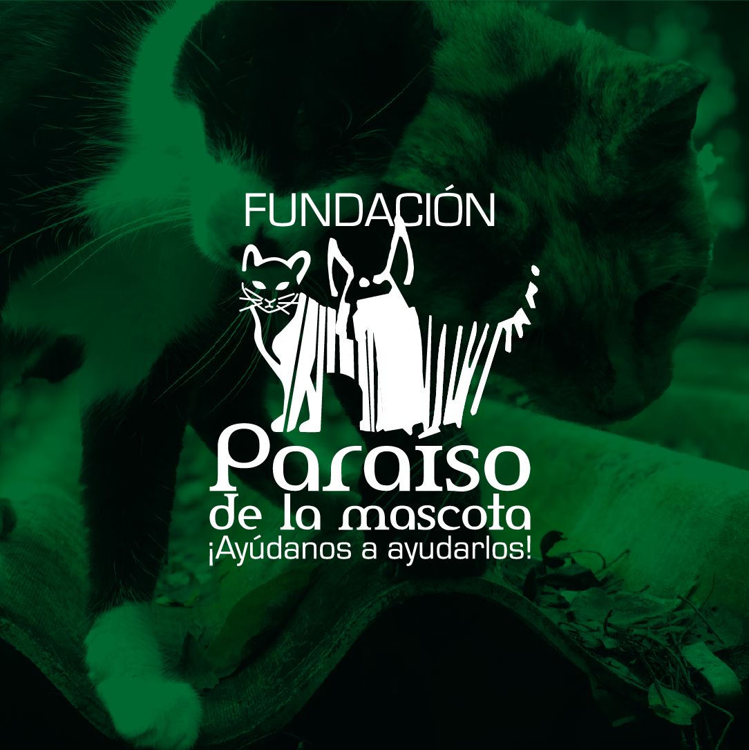 FotoFundación Paraíso de La Mascota