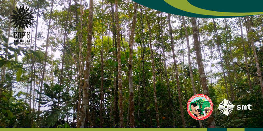 Guardianes de la Naturaleza: Protegiendo Ríos, Suelos y Agua