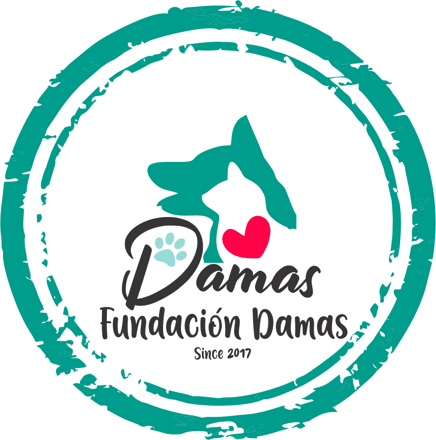 FUNDACION DAMAS COLOMBIA