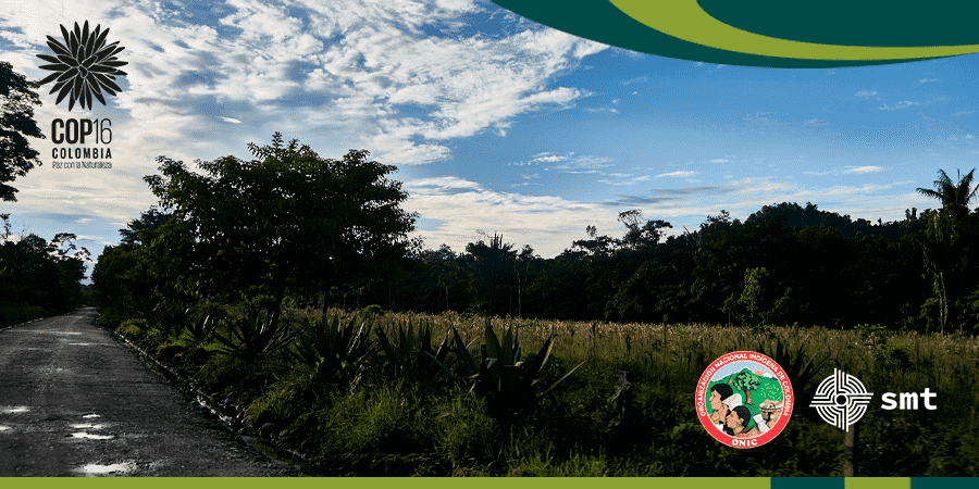 Protección de la vida en el territorio Ancestral del Pueblo U'wa