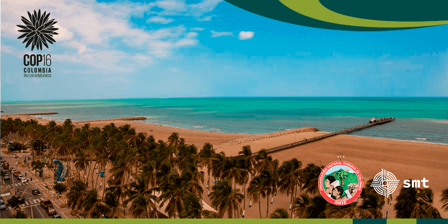Red de Sanadores y Sanadoras desde la Biodiversidad y Ancestralidad Wayuu - Organización Wayuú Painwashi