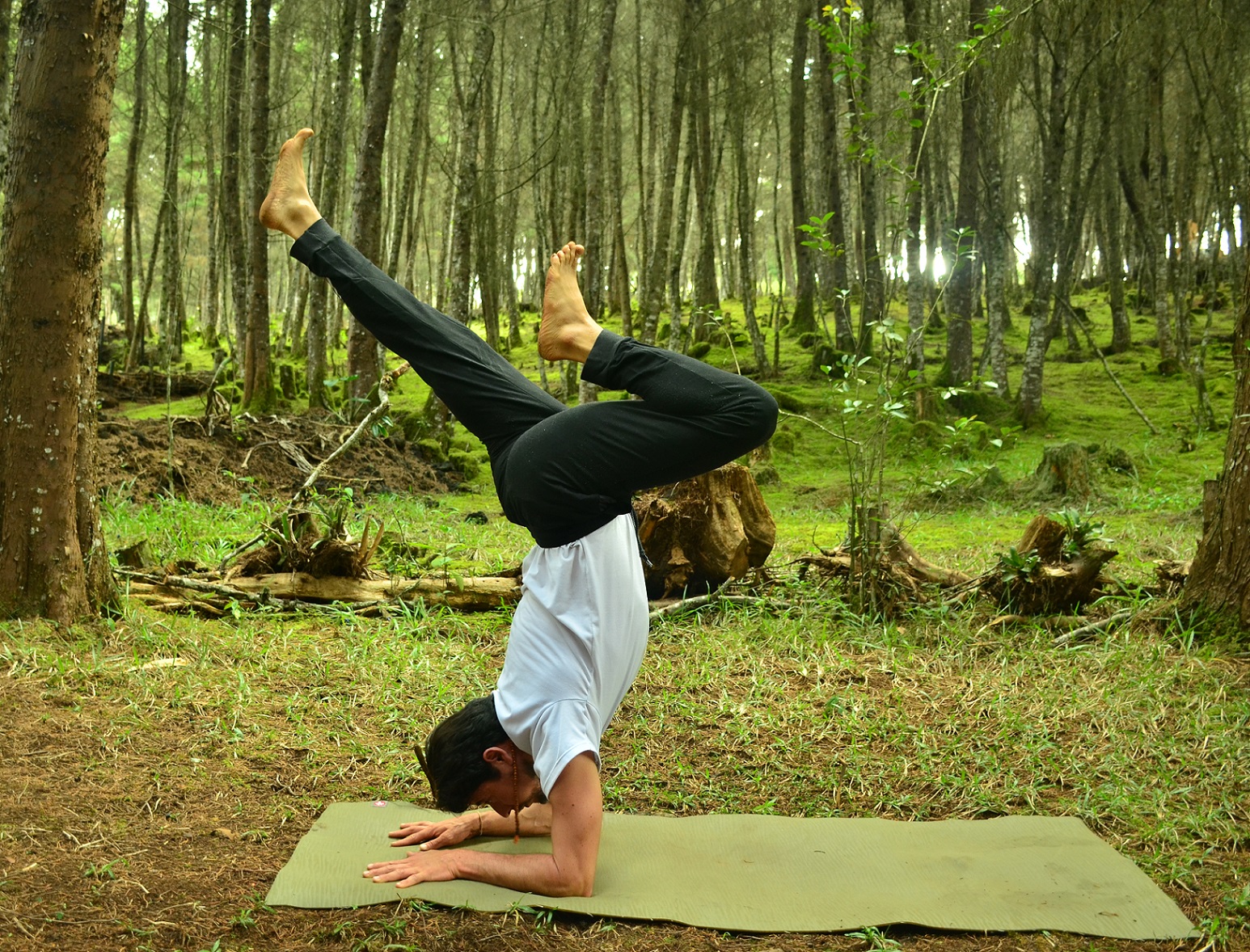 Yoga (World)
