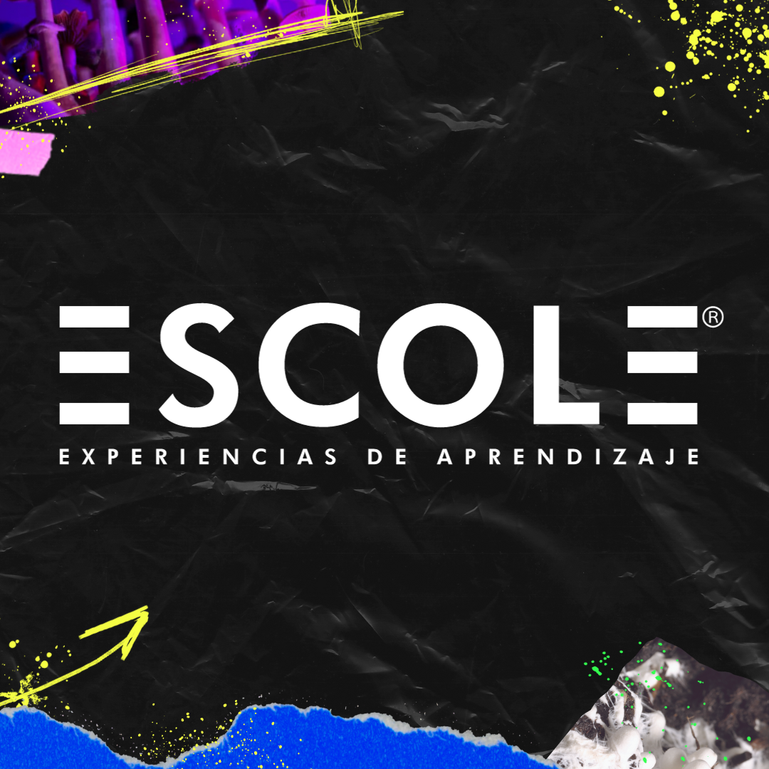 Foto de ESCOLE S.A.S