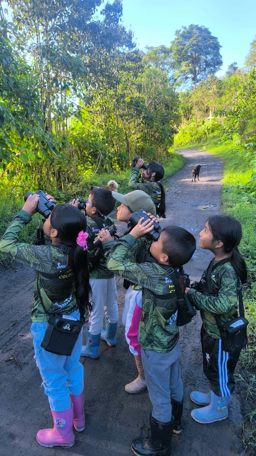PAJARERITOS - Niños Observadores de Aves
