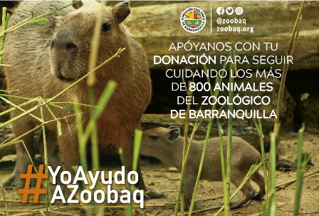 #SalvemosAZoobaq