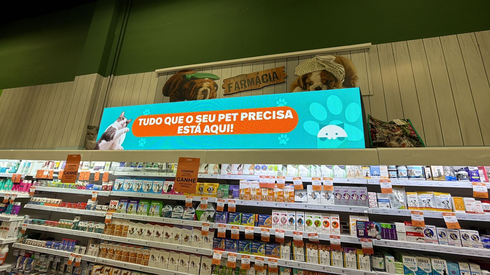 Testeiras em LED 1