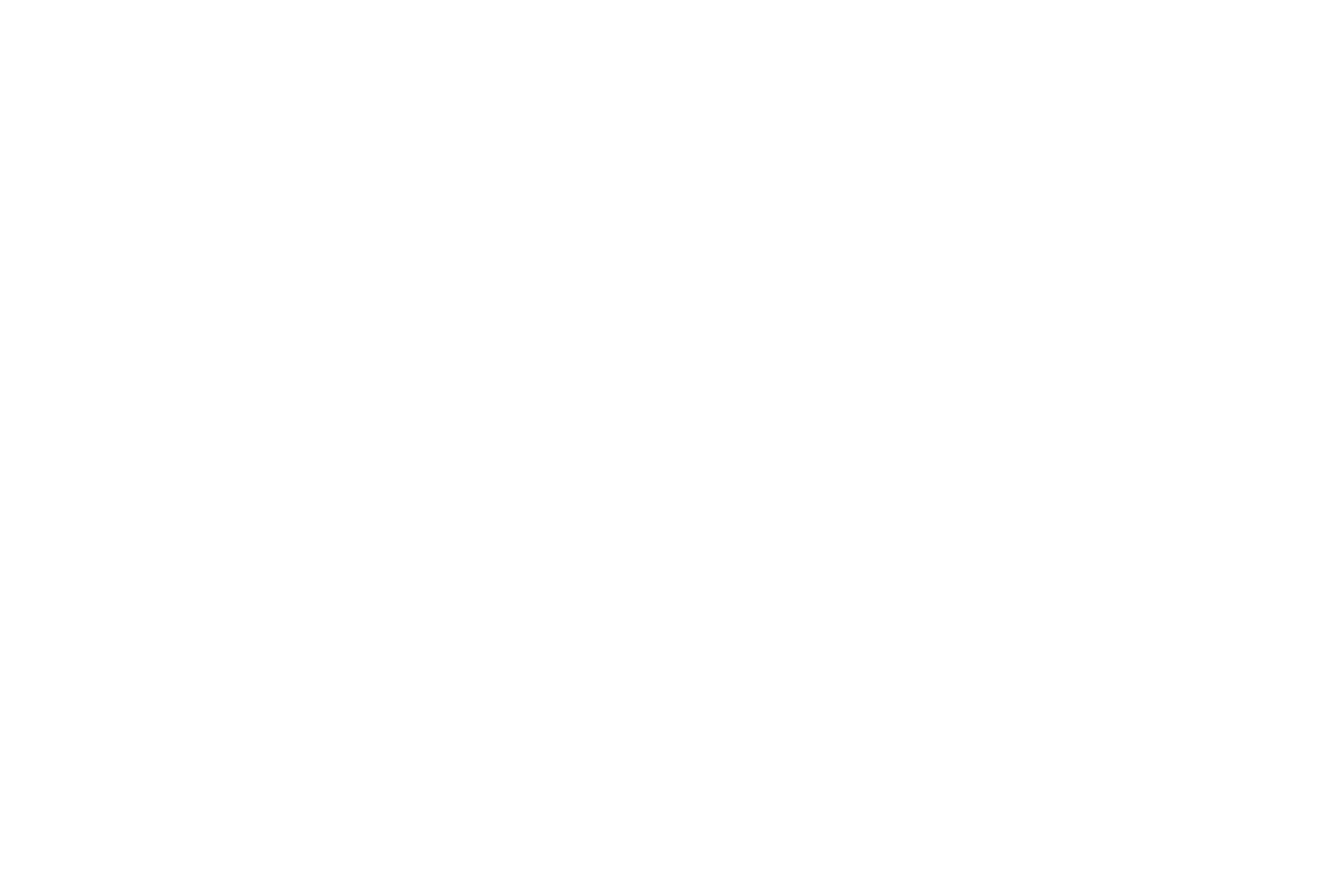 Leslie Cantú Seguros