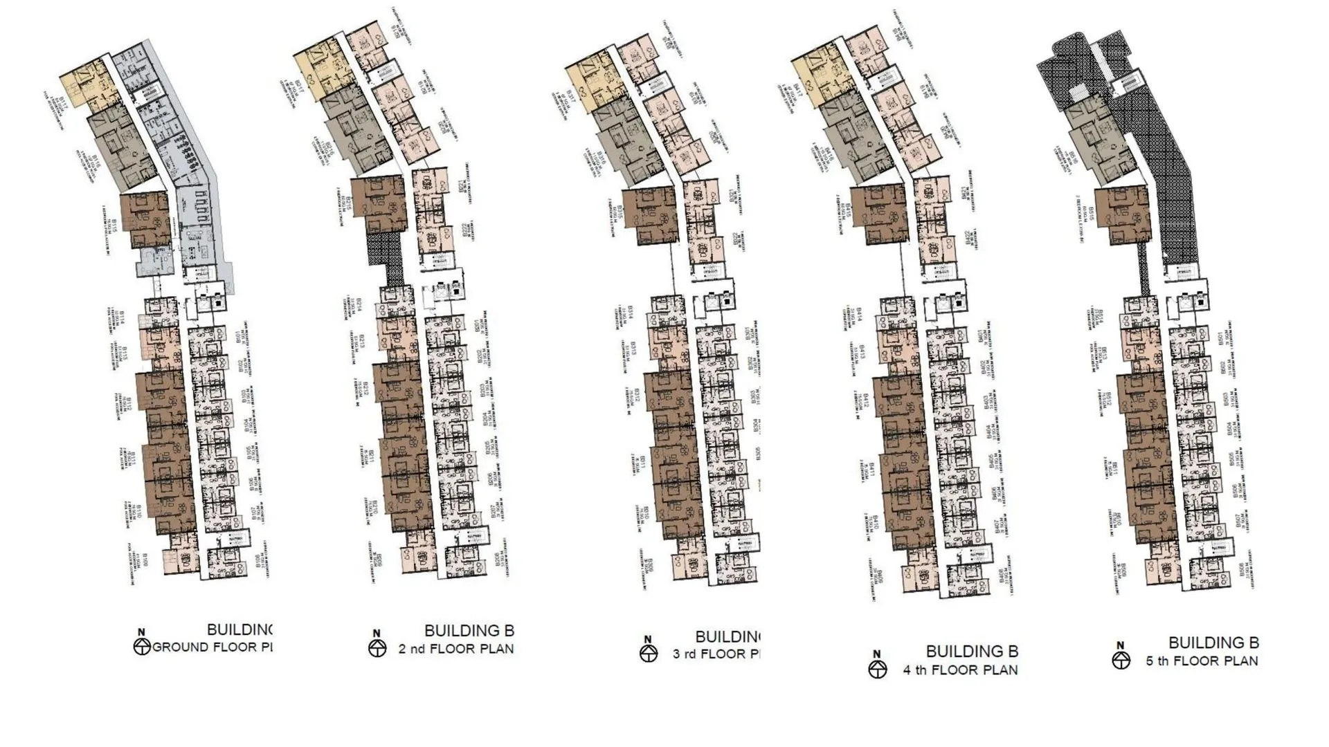 The Title Biancana 7