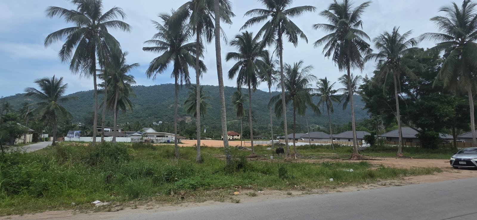 Wild Orchid Villas 6