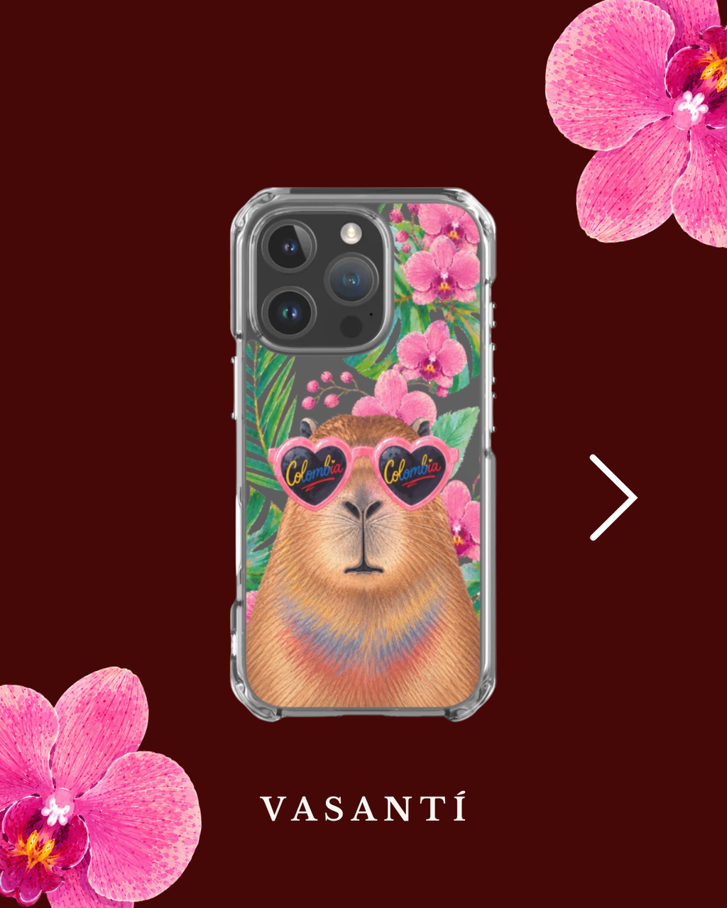 Funda Capibara Colombia — vista principal