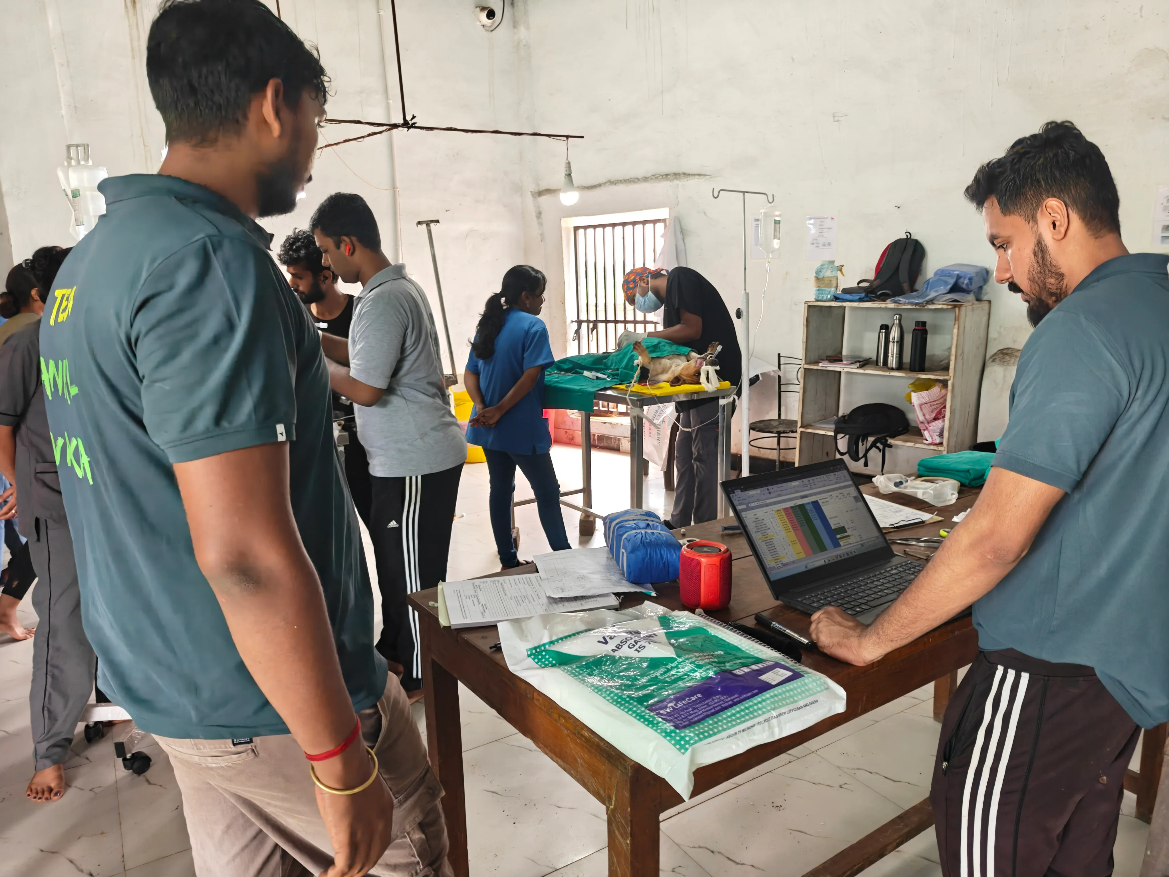 ABC sterilisation programme in action