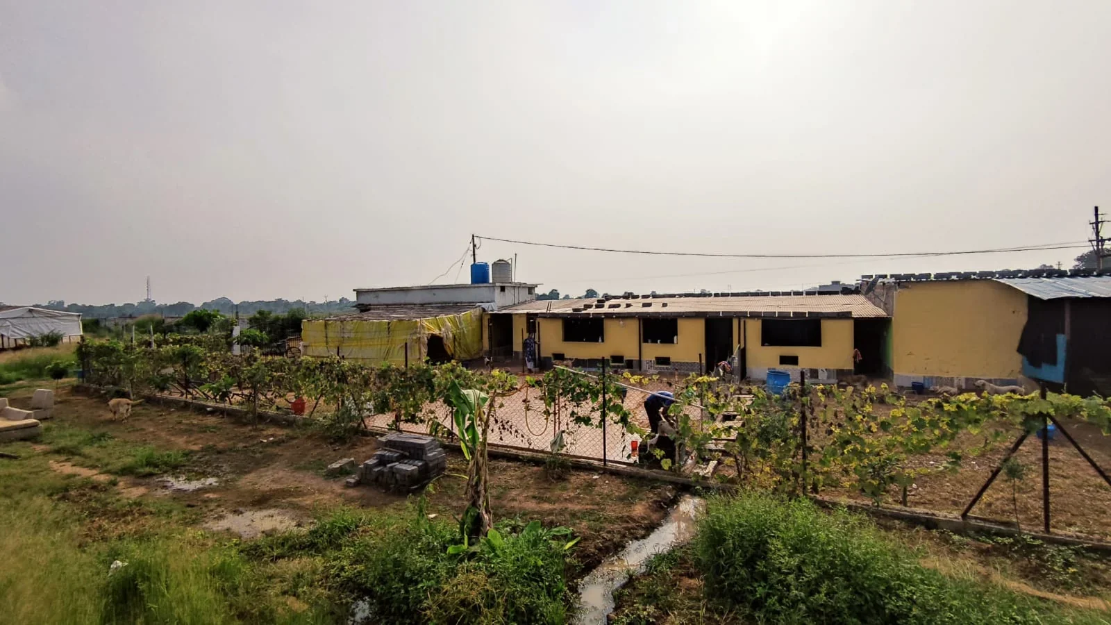 Medical care milestones in 2021