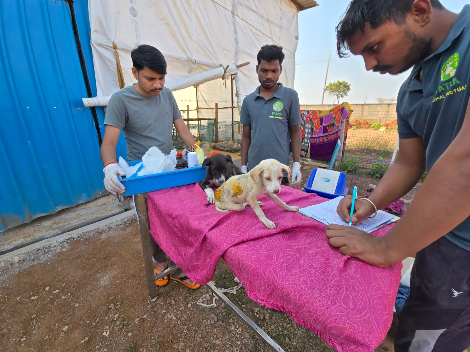 Vatika's growing team in 2024-25