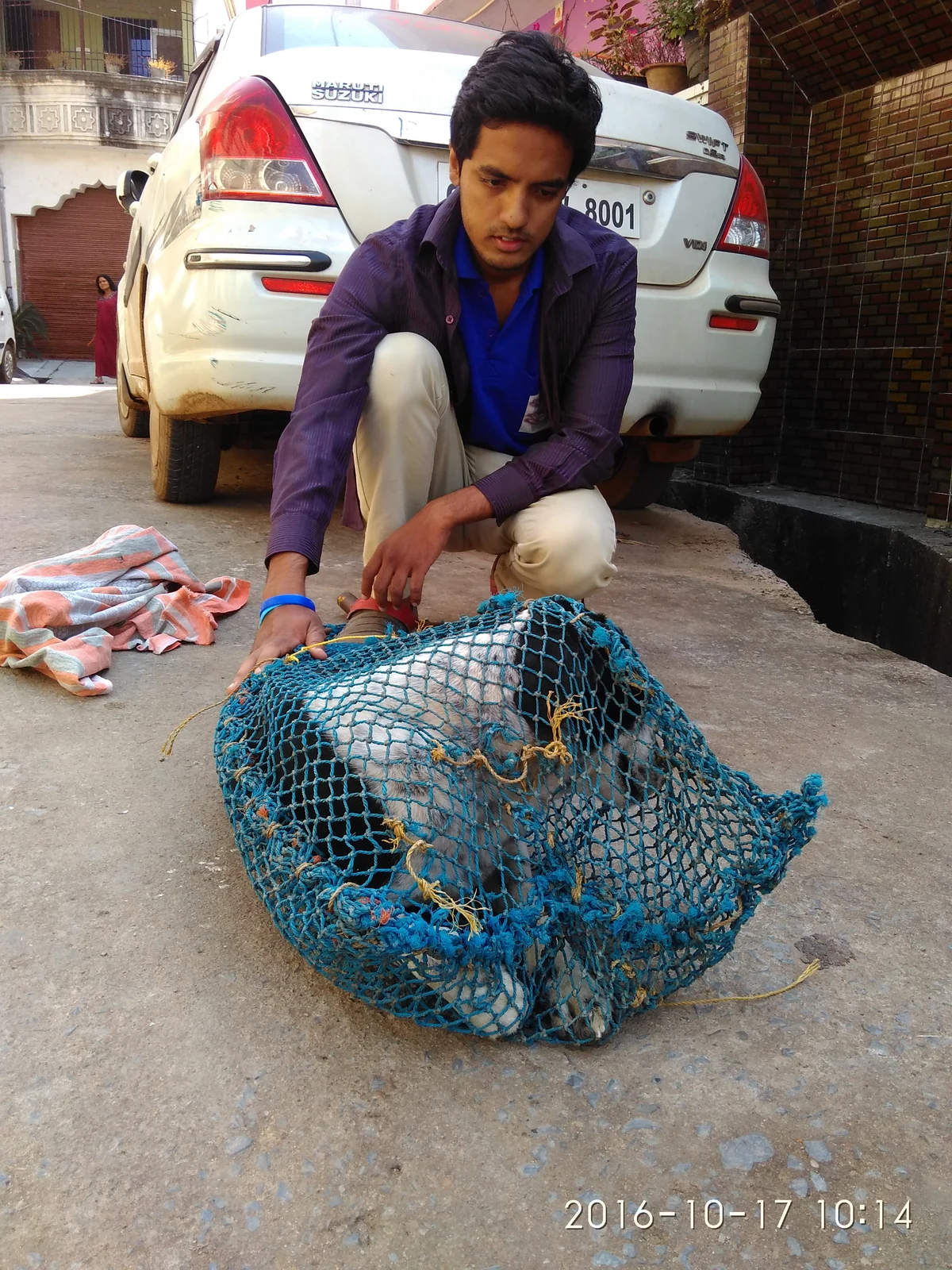 Early days of Vatika