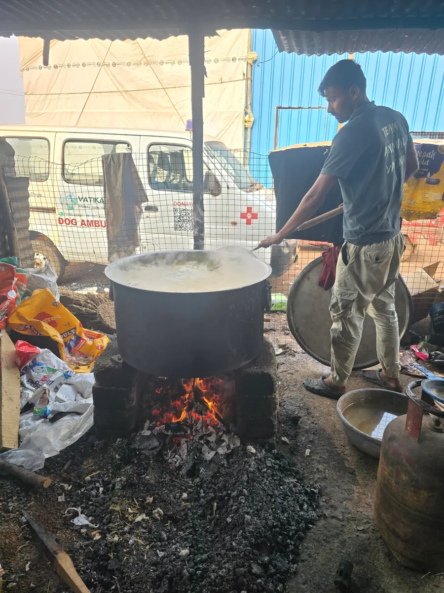 Animals at Vatika sanctuary