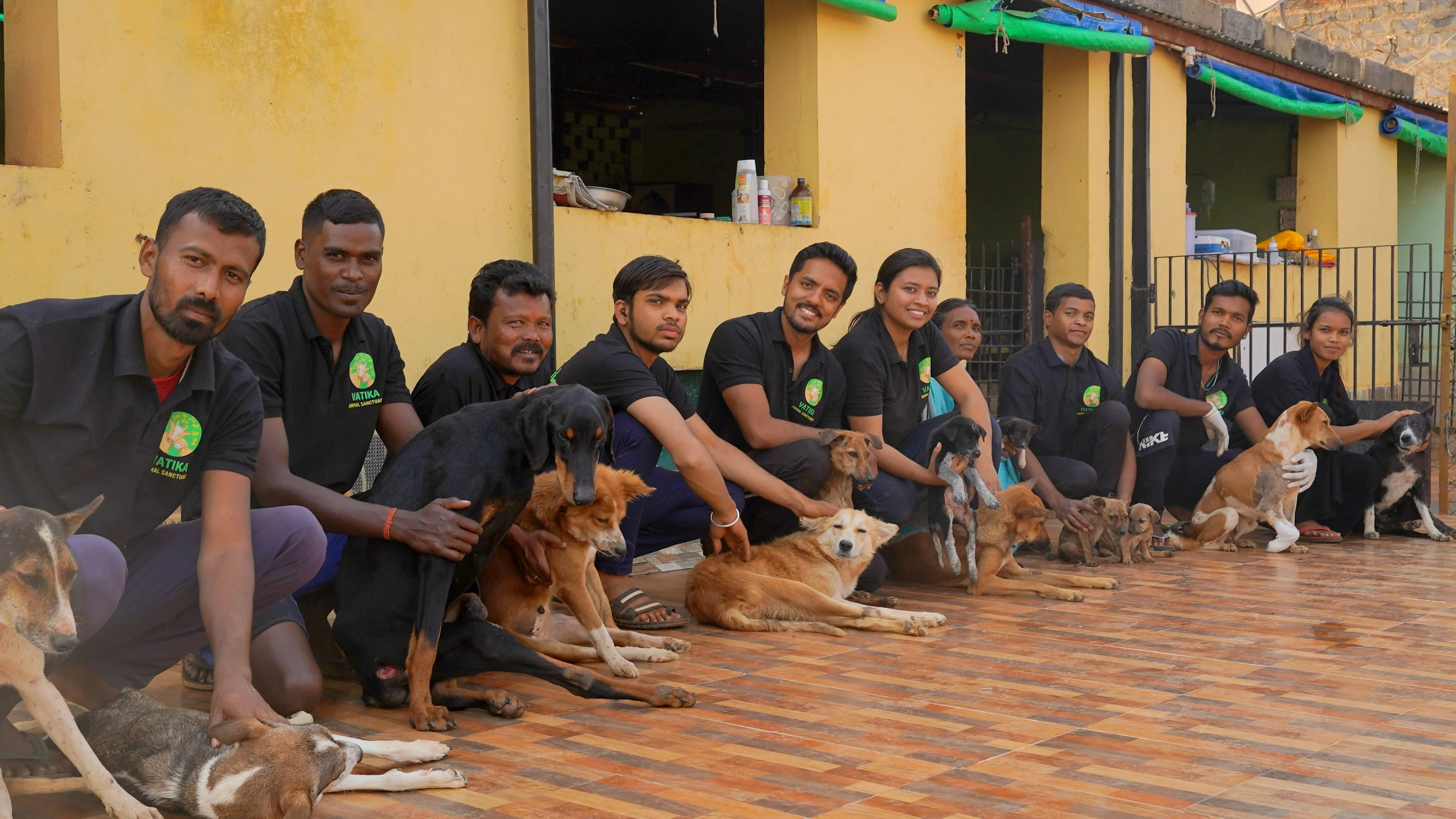 Animals at the sanctuary
