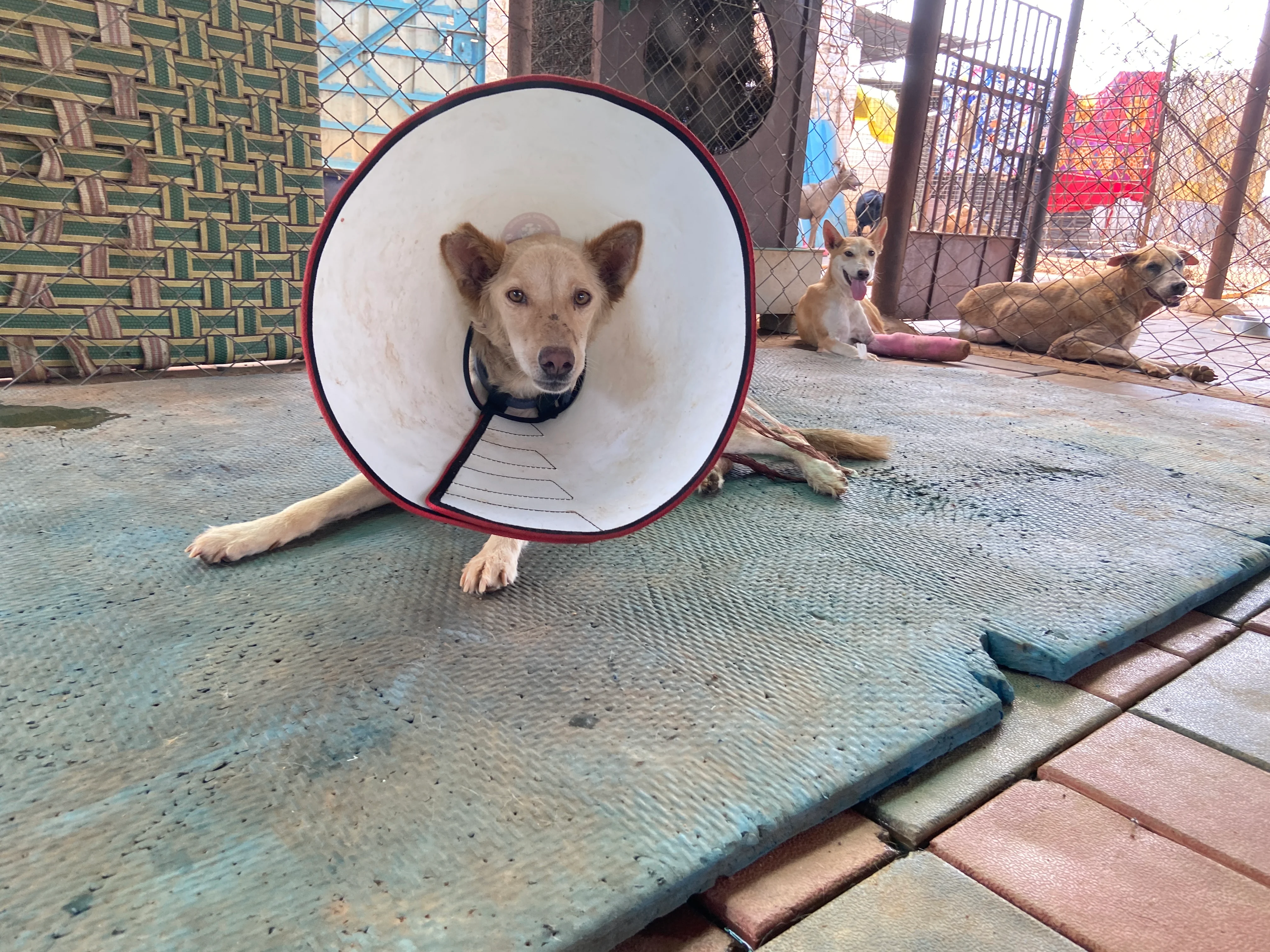 Treatment in progress