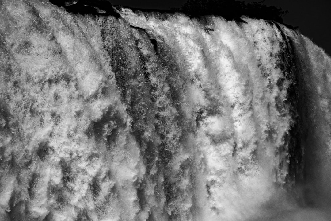 Crowding Check: Where Flows Are Thickest