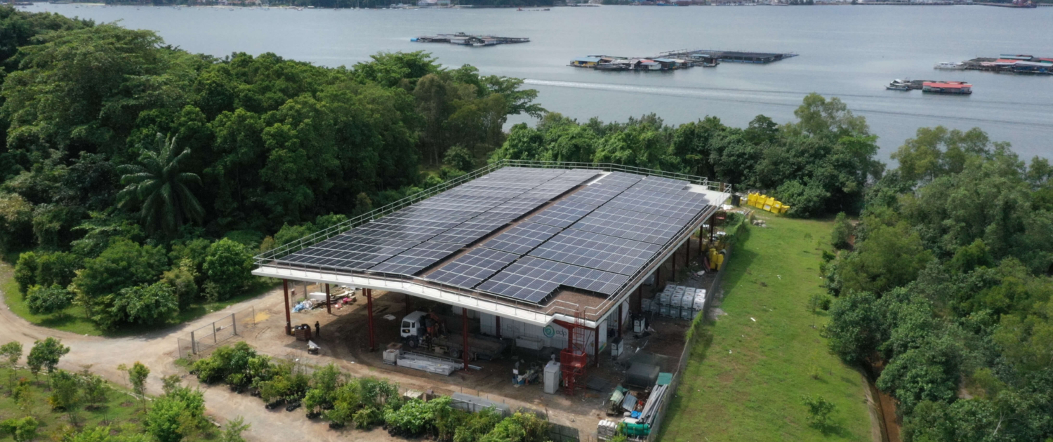 EMA Singapore co-creates a green micro-grid to deliver resilient and sustainable energy for Pulau Ubin