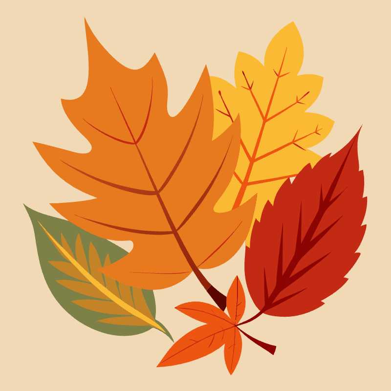 Captivating Autumn Leaves Vector for Seasonal Designs