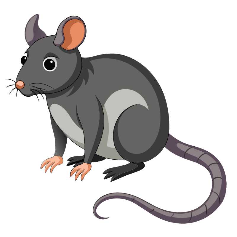 Downloadable and Editable Rat Vector Graphic for Creative Projects