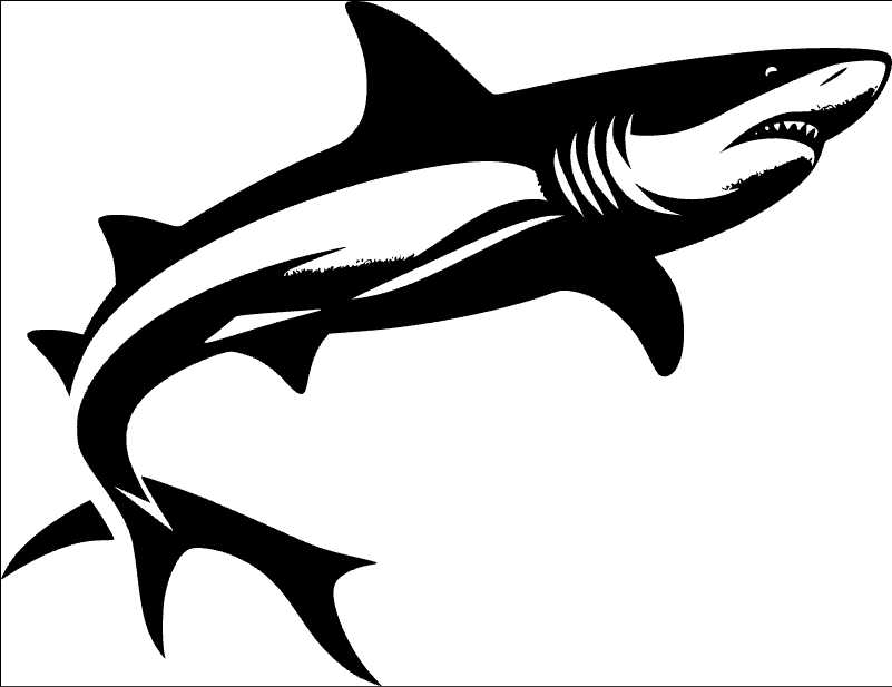 Fierce Shark Vector Graphic for Aquatic Themed Designs