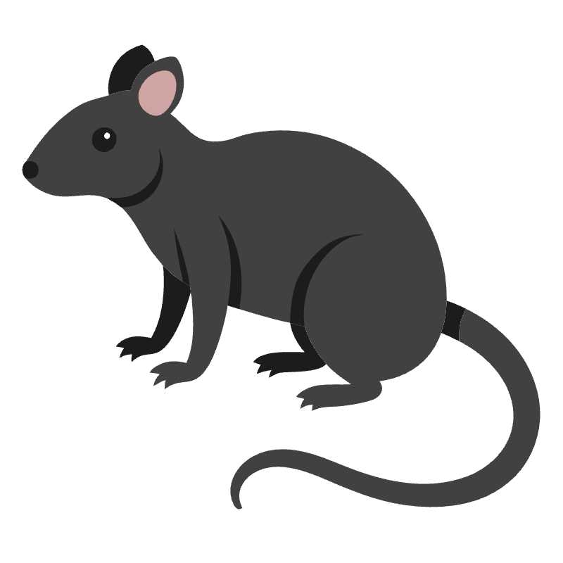 Sleek Vector Rat Icon for Creative Design Projects Download and Edit