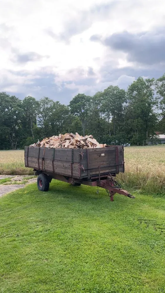 Björkved till salu i Hästveda