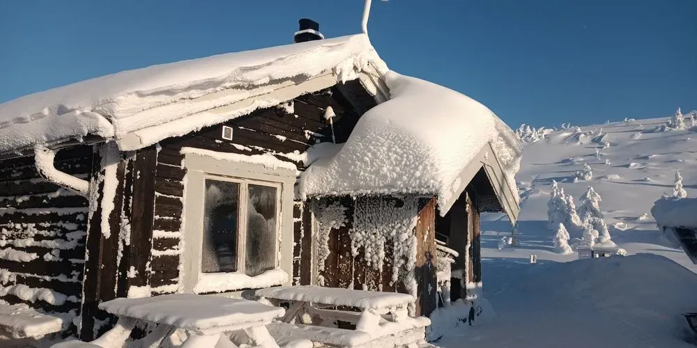 Blandved till salu i Frommesta