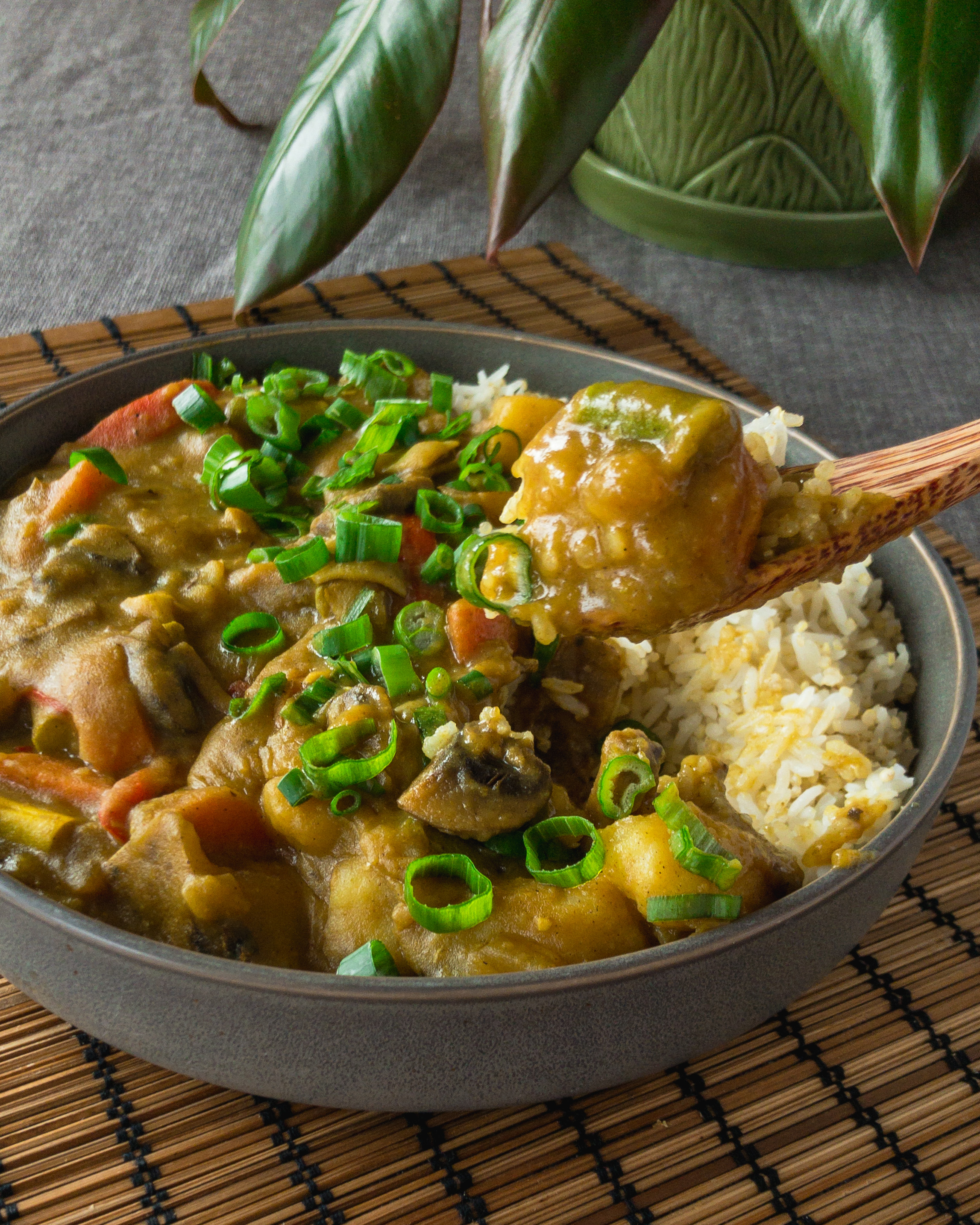 Vegan Japanese Curry