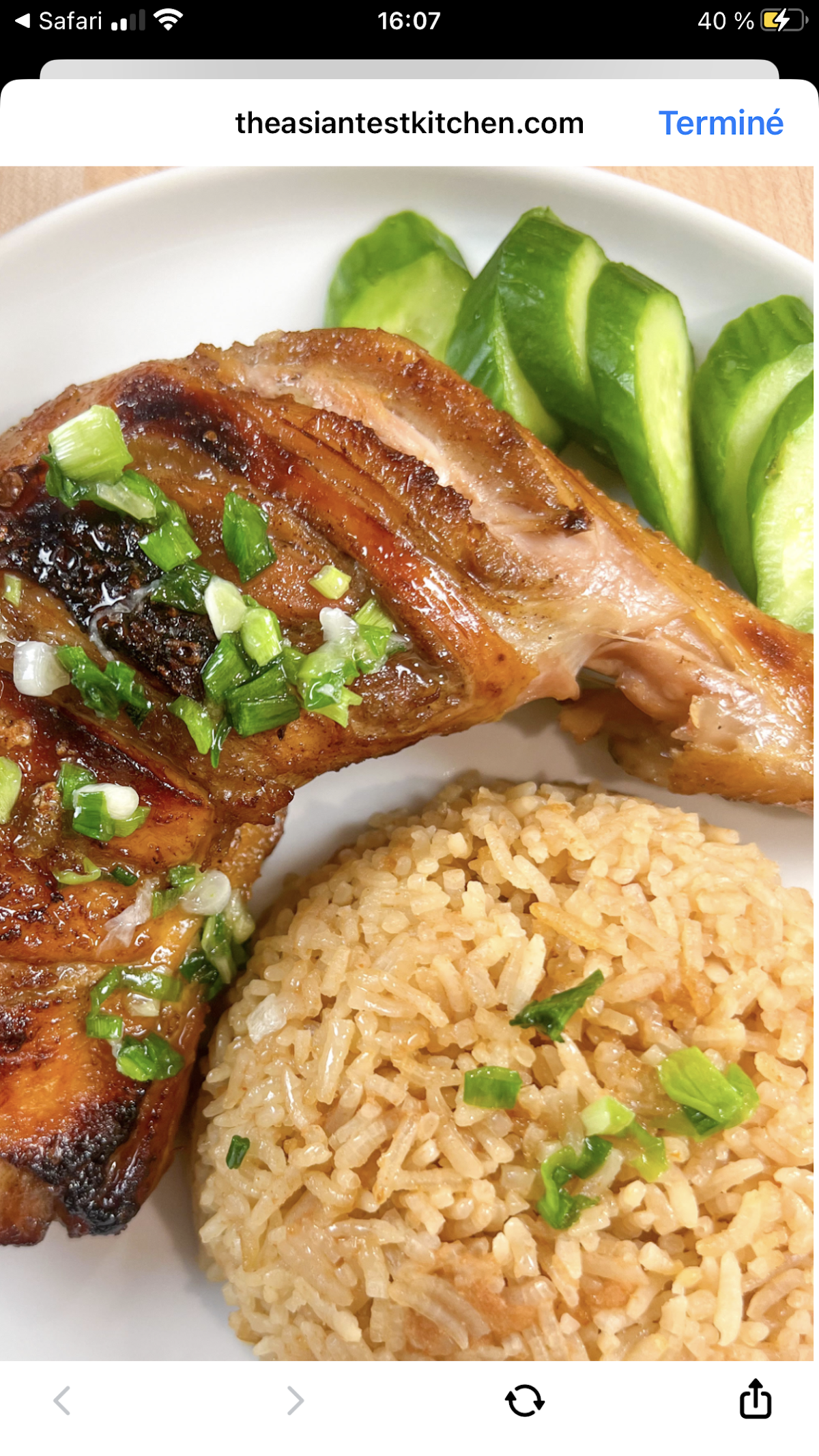 Bambou Vert - Photo 2