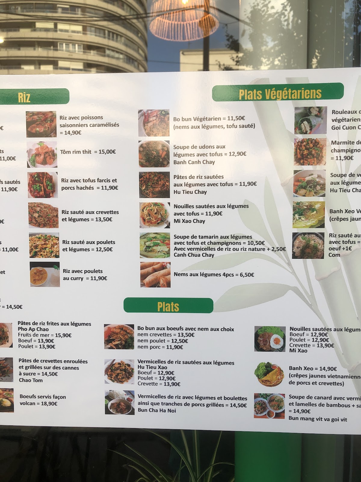 Bambou Vert - Photo 3