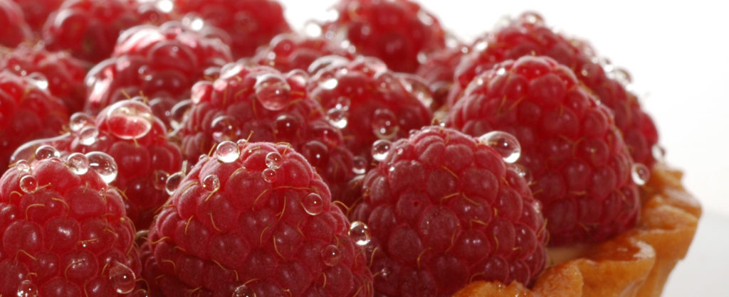 Bread & Roses - Photo 2