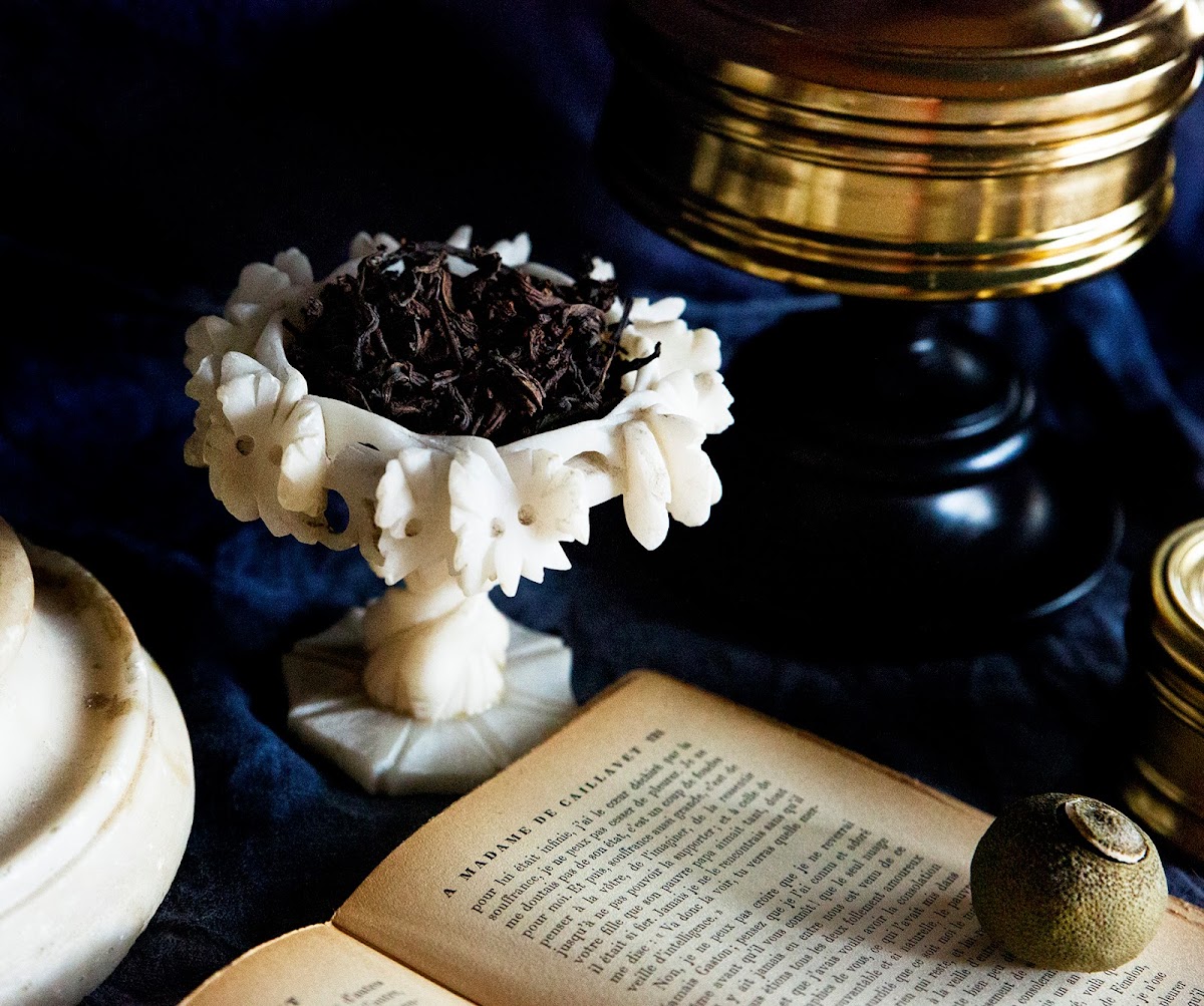 Conservatoire des Hémisphères - Photo 2