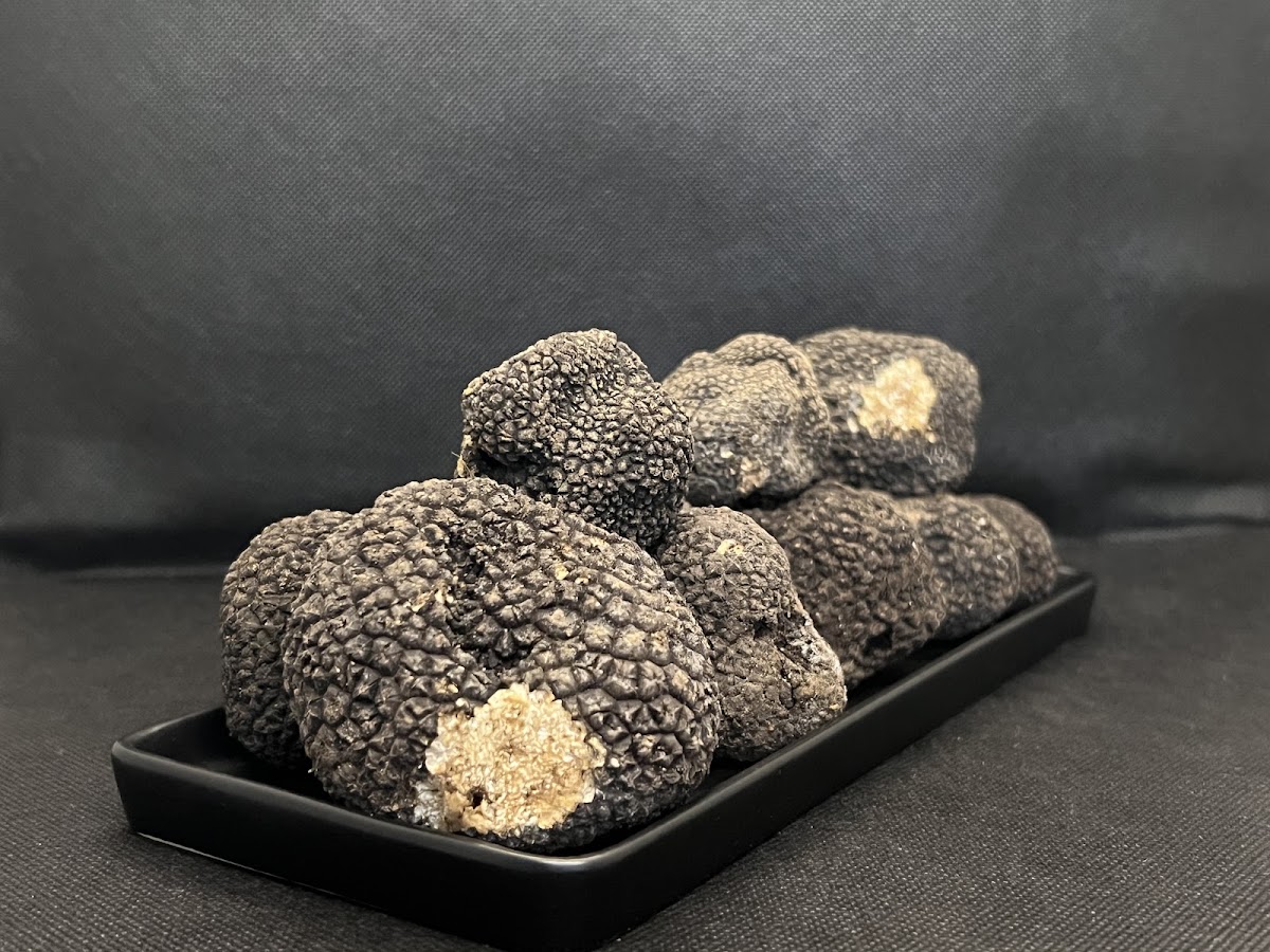 ITArtufi - l'univers de la truffe - Photo 2