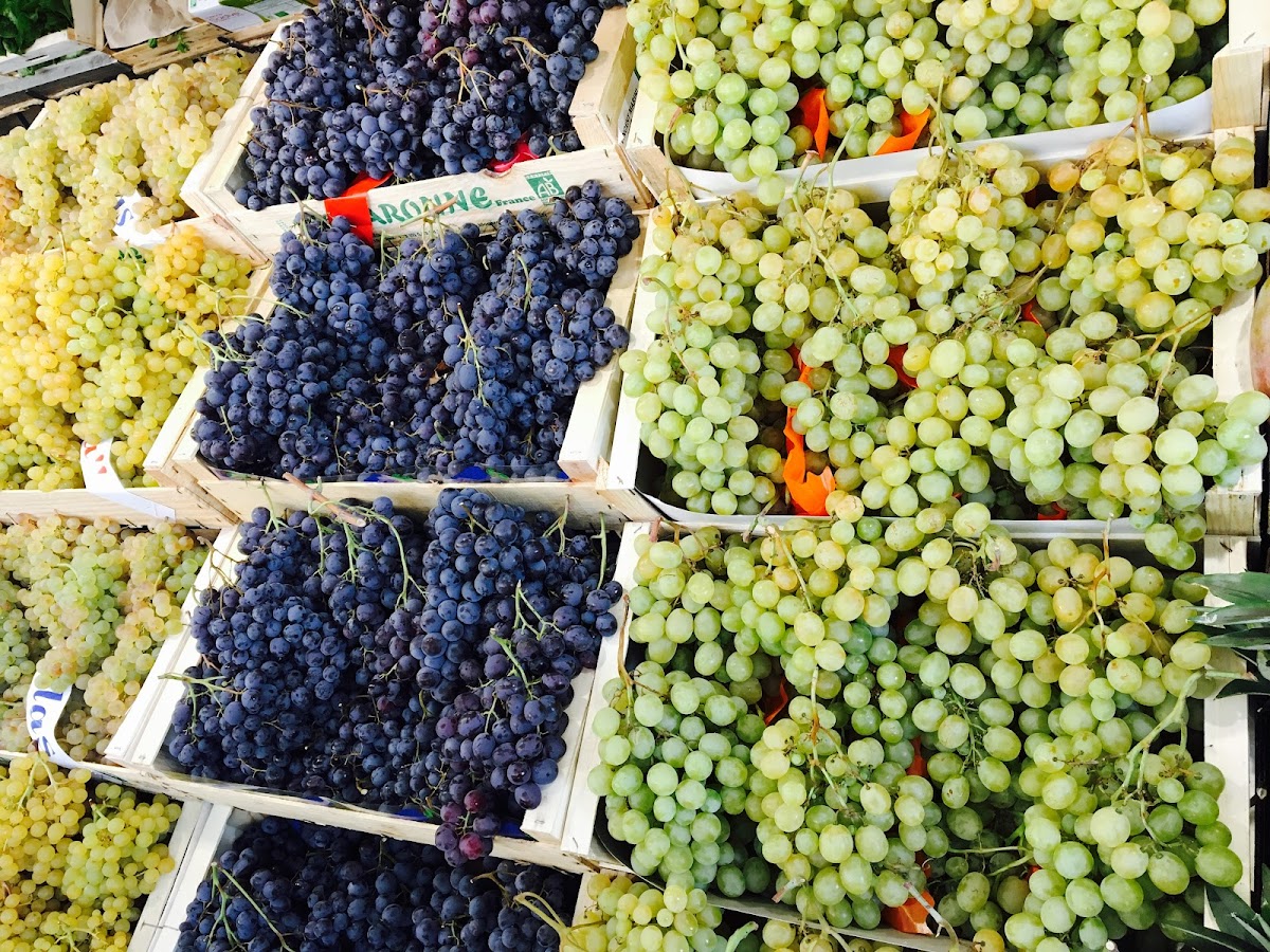 J'm le Bio - Photo 2