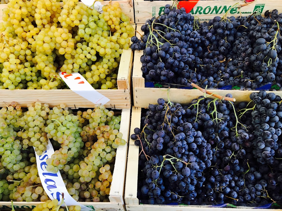 J'm le Bio - Photo 3