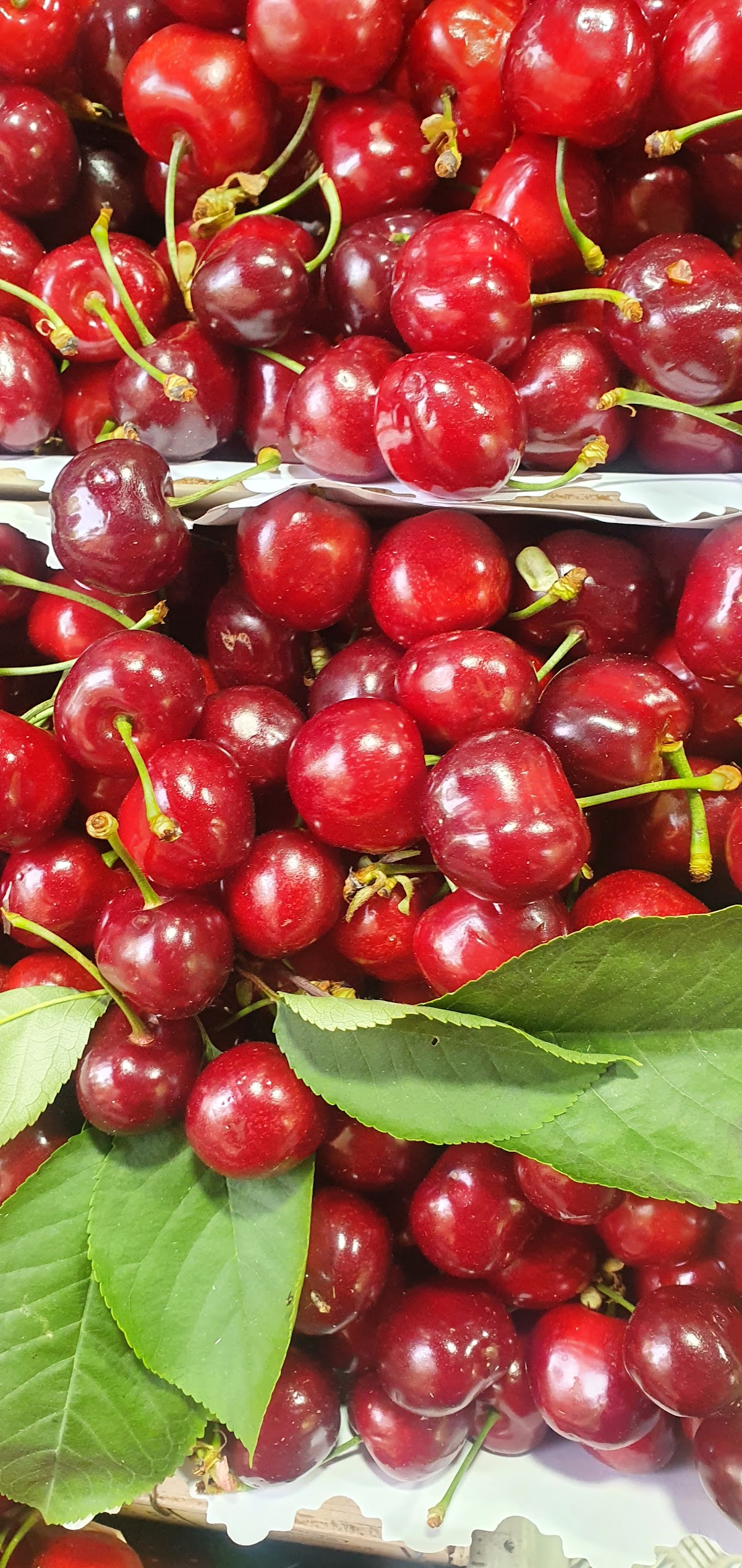 Le Bio de la Butte - Photo 3