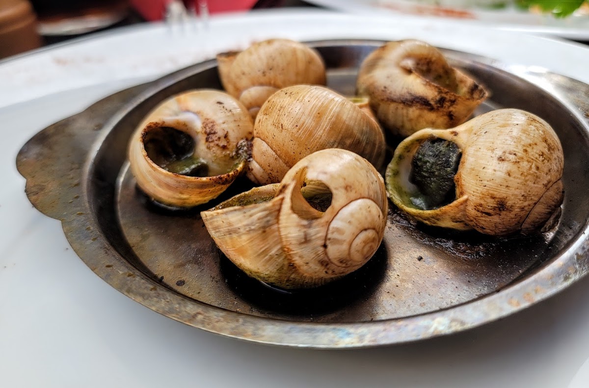 Le Chant des Voyelles - Photo 2