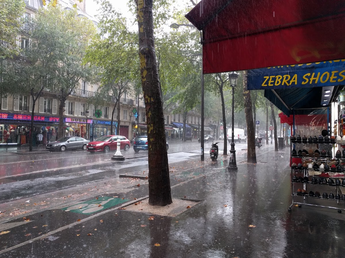 Le Magenta - Photo 2