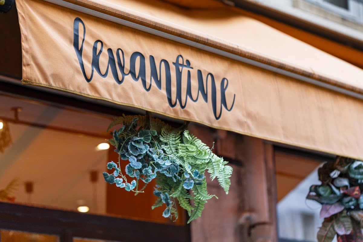 Levantine - Photo 2