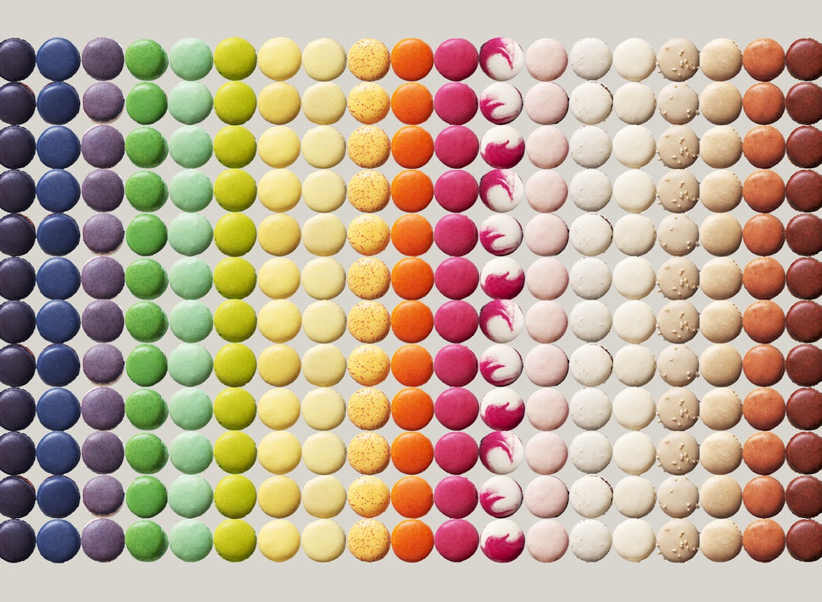 Maison Delmontel Lévis - Photo 3