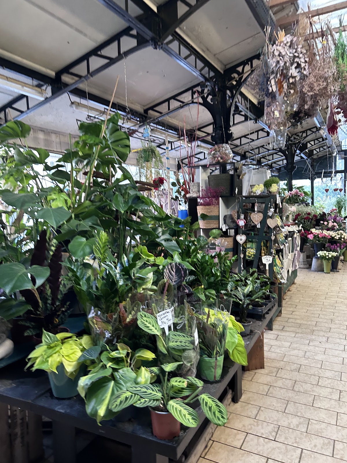 Marché aux fleurs Reine-Elizabeth-II - Photo 2