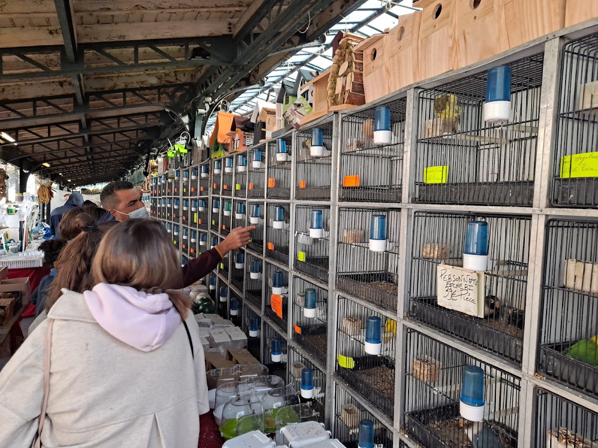 Marché aux fleurs Reine-Elizabeth-II - Photo 3