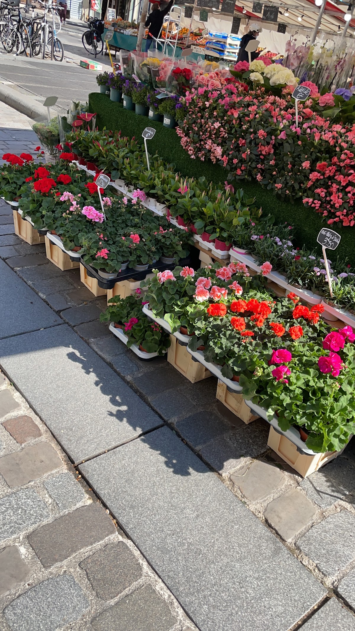 Marché Baudoyer - Photo 3